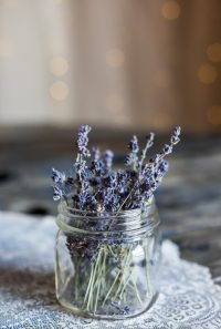 compressed-lavender-04