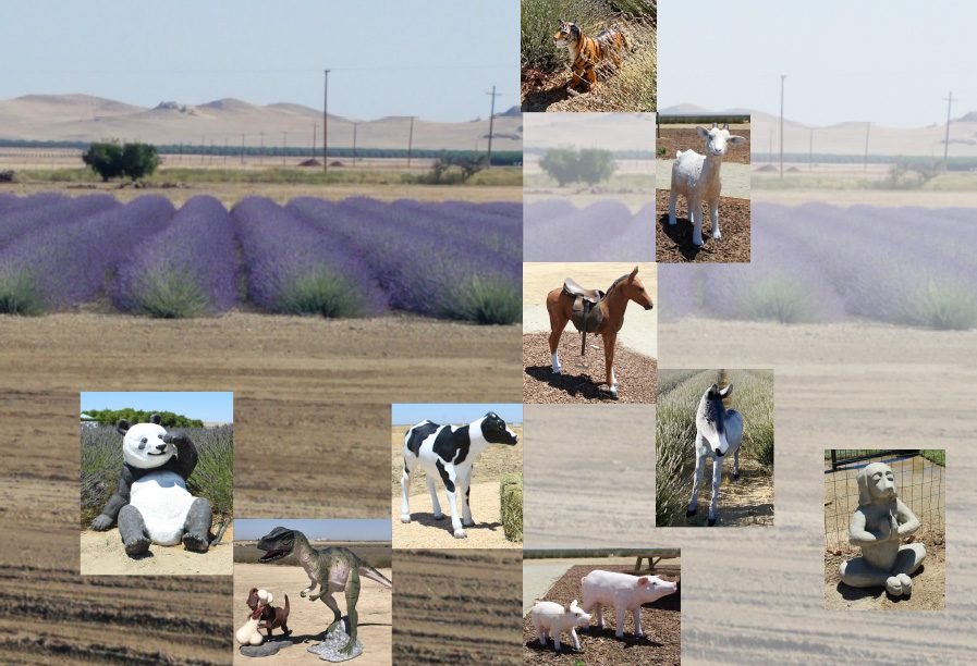 The Lavender Garden Animal Sculptures