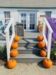 Pumpkins at the Lavender garden