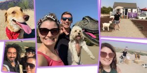 autumn selfie contest winners