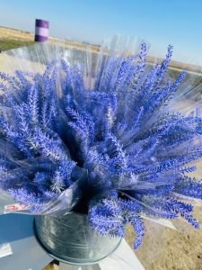 Christmas Holiday Decor at The Lavender Garden