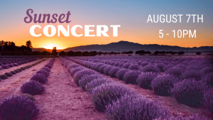 Sunset Concert at The Lavender Garden August 7