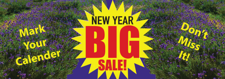 The Lavender Garden New Year BIG Sale